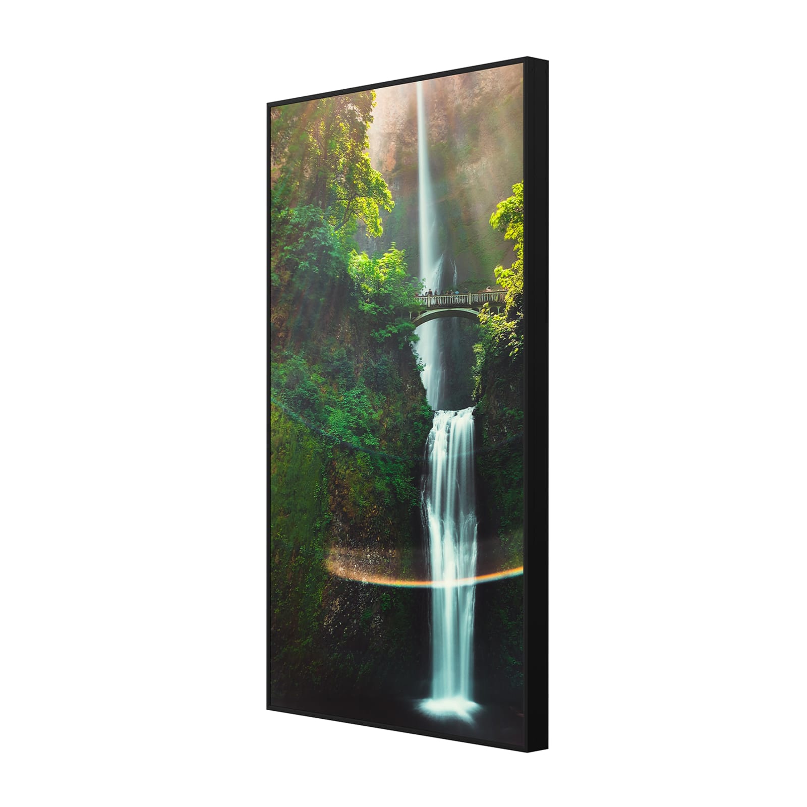 Hisense 55