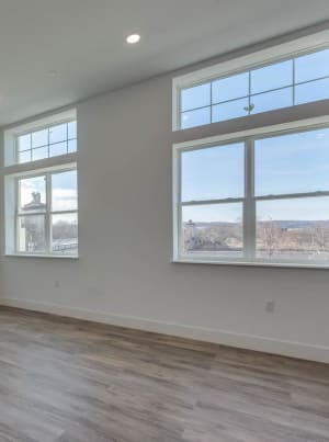 Gallery asset 31 of 31