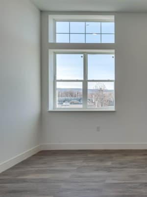 Gallery asset 25 of 31